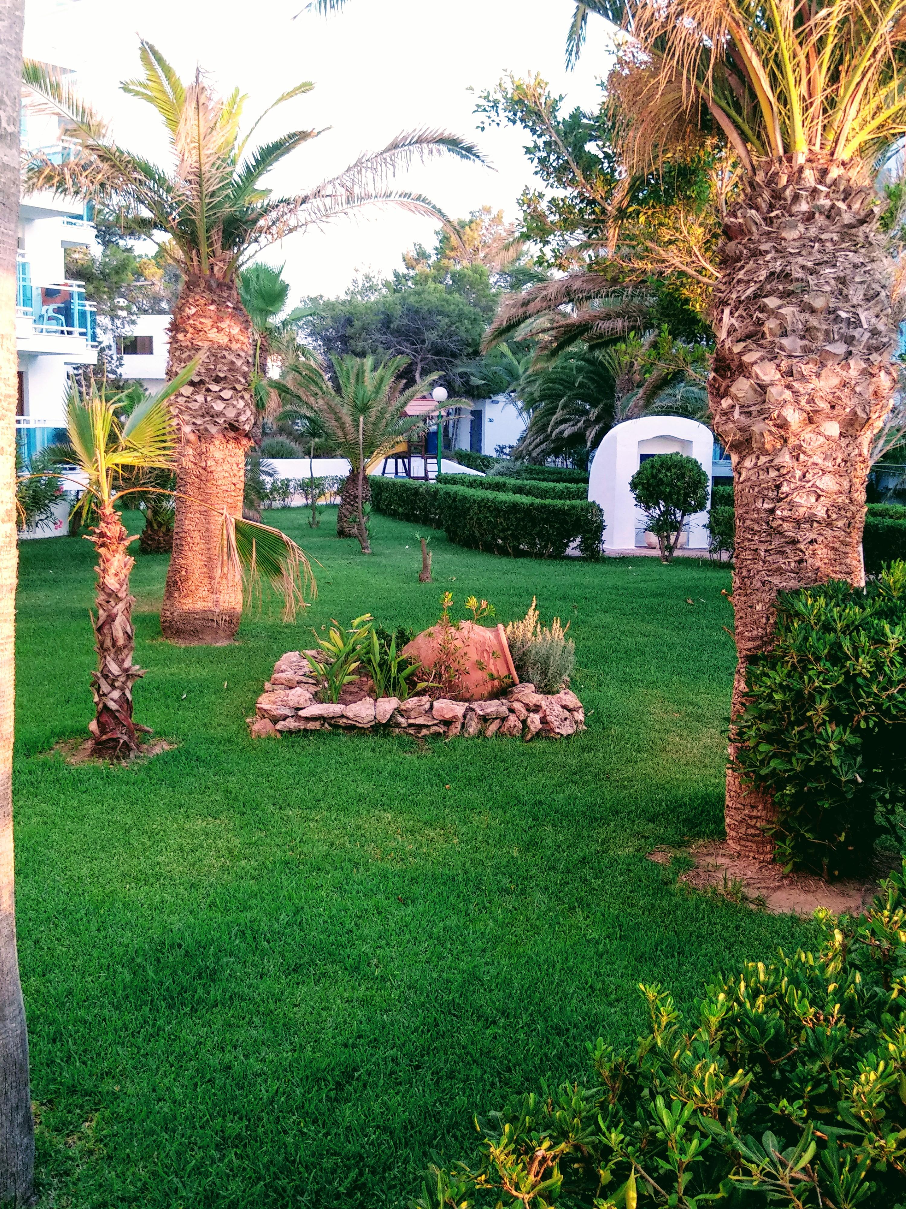 Aparthotel Nereida San Antonio (Ibiza) Exterior foto